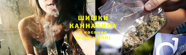 ECSTASY Белокуриха
