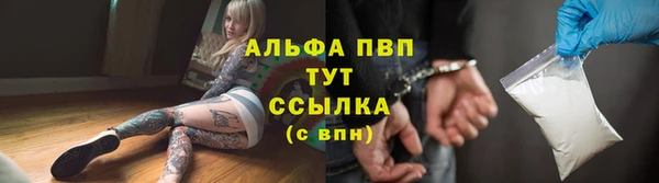 ECSTASY Белокуриха