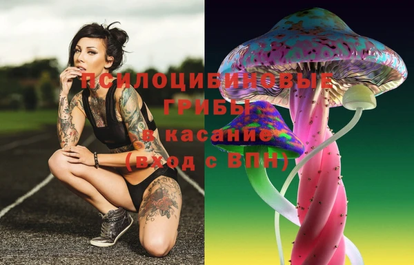 бутират Беломорск