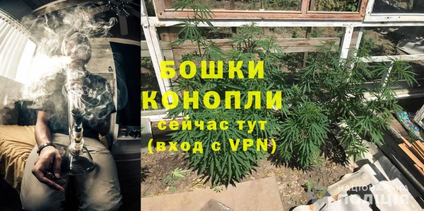 ECSTASY Белокуриха